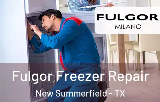  Fulgor Freezer Repair New Summerfield - TX