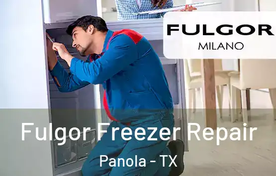  Fulgor Freezer Repair Panola - TX