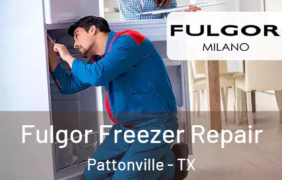  Fulgor Freezer Repair Pattonville - TX
