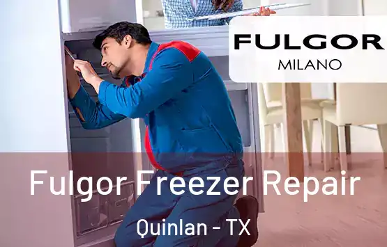  Fulgor Freezer Repair Quinlan - TX