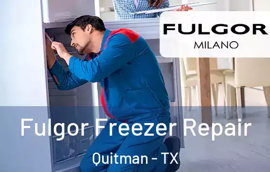  Fulgor Freezer Repair Quitman - TX