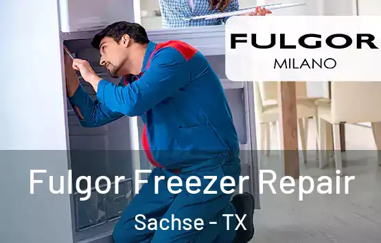  Fulgor Freezer Repair Sachse - TX
