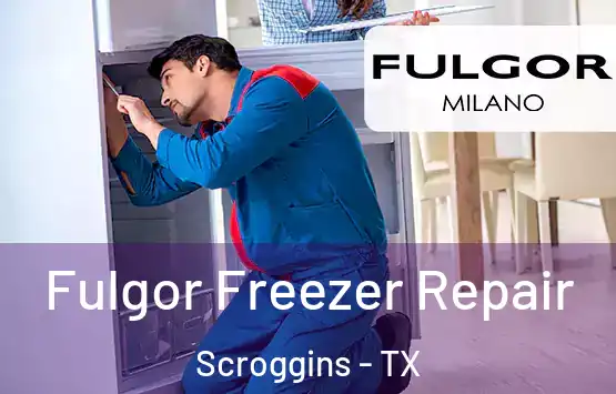  Fulgor Freezer Repair Scroggins - TX