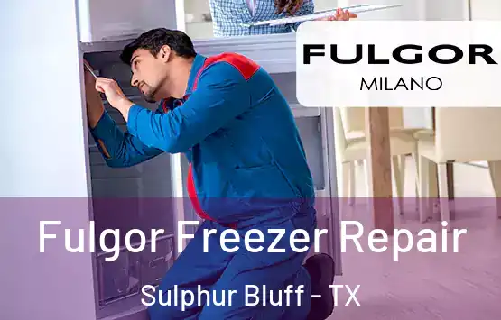  Fulgor Freezer Repair Sulphur Bluff - TX