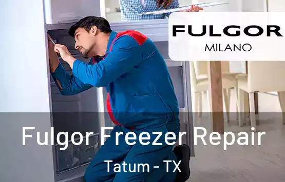  Fulgor Freezer Repair Tatum - TX