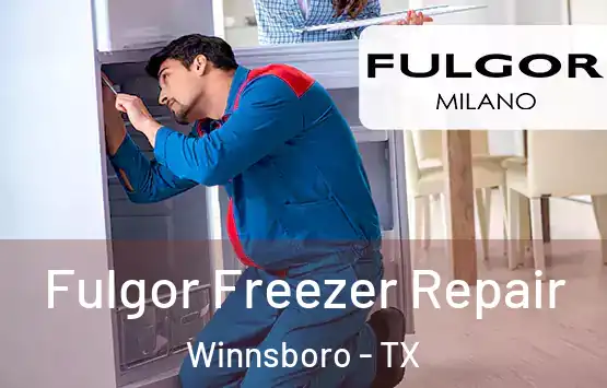  Fulgor Freezer Repair Winnsboro - TX