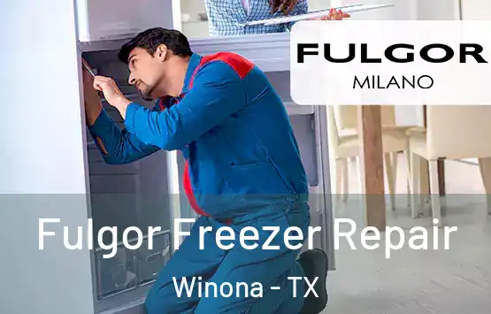  Fulgor Freezer Repair Winona - TX