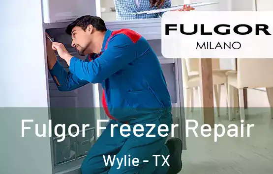  Fulgor Freezer Repair Wylie - TX