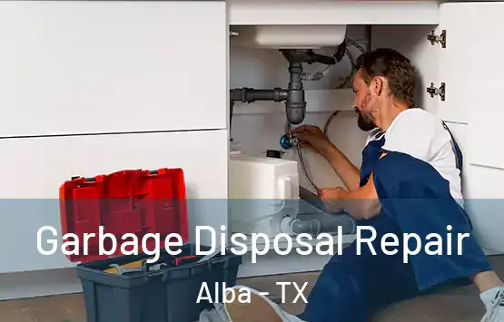  Garbage Disposal Repair Alba - TX