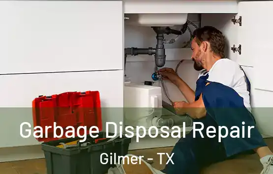 Garbage Disposal Repair Gilmer - TX