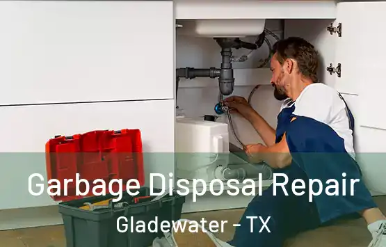  Garbage Disposal Repair Gladewater - TX