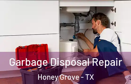  Garbage Disposal Repair Honey Grove - TX
