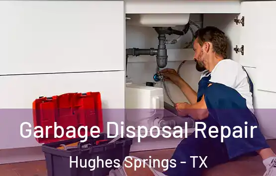  Garbage Disposal Repair Hughes Springs - TX