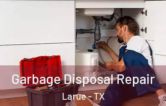  Garbage Disposal Repair Larue - TX