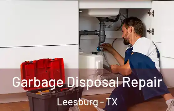  Garbage Disposal Repair Leesburg - TX
