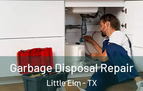  Garbage Disposal Repair Little Elm - TX