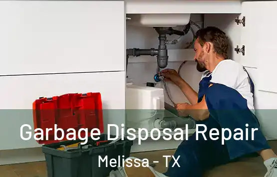  Garbage Disposal Repair Melissa - TX