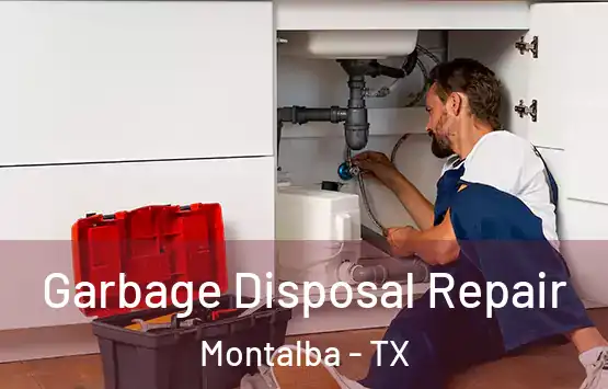  Garbage Disposal Repair Montalba - TX