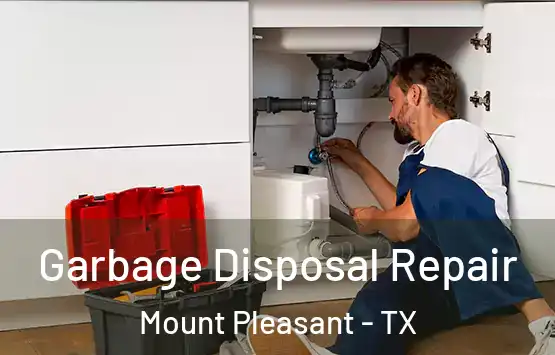  Garbage Disposal Repair Mount Pleasant - TX