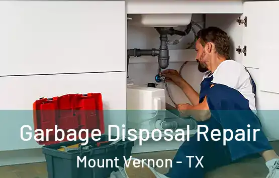  Garbage Disposal Repair Mount Vernon - TX