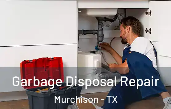  Garbage Disposal Repair Murchison - TX