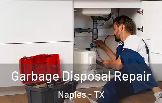  Garbage Disposal Repair Naples - TX