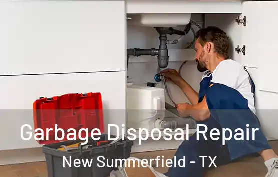 Garbage Disposal Repair New Summerfield - TX
