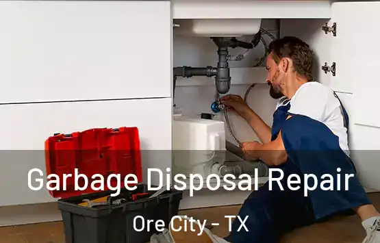  Garbage Disposal Repair Ore City - TX