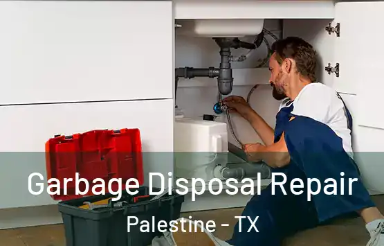  Garbage Disposal Repair Palestine - TX