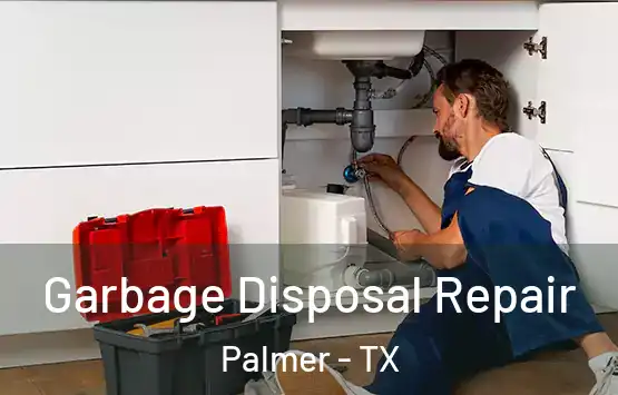  Garbage Disposal Repair Palmer - TX