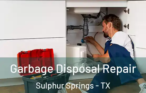  Garbage Disposal Repair Sulphur Springs - TX