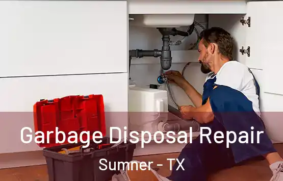 Garbage Disposal Repair Sumner - TX