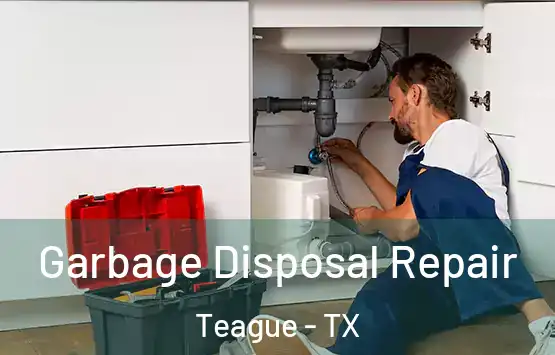  Garbage Disposal Repair Teague - TX