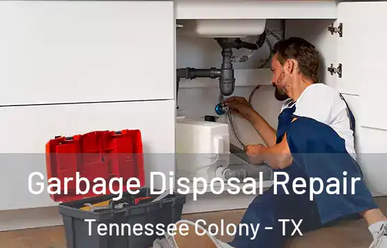  Garbage Disposal Repair Tennessee Colony - TX