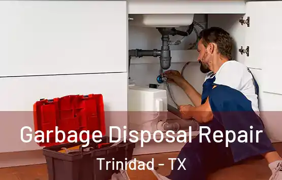  Garbage Disposal Repair Trinidad - TX