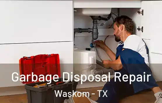  Garbage Disposal Repair Waskom - TX