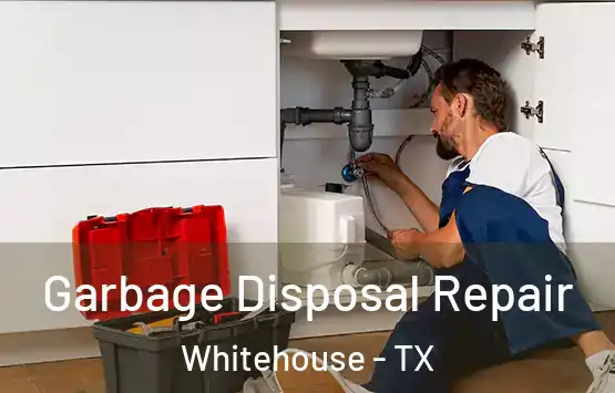  Garbage Disposal Repair Whitehouse - TX