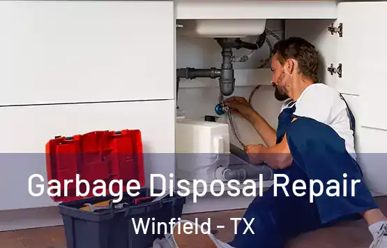  Garbage Disposal Repair Winfield - TX