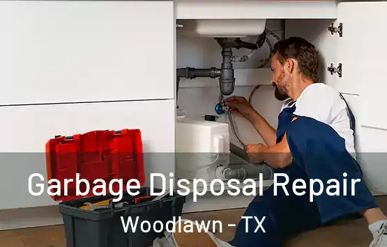  Garbage Disposal Repair Woodlawn - TX