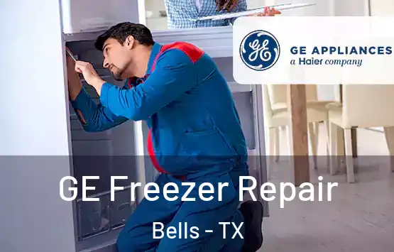  GE Freezer Repair Bells - TX