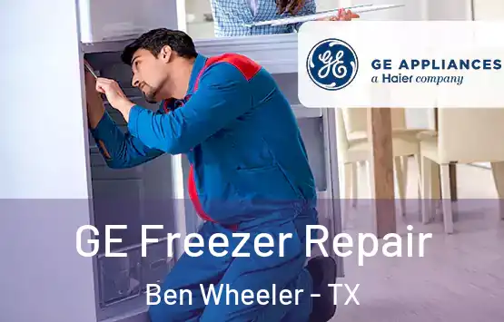  GE Freezer Repair Ben Wheeler - TX