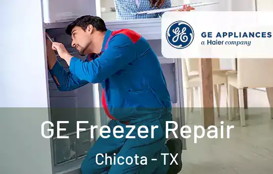  GE Freezer Repair Chicota - TX