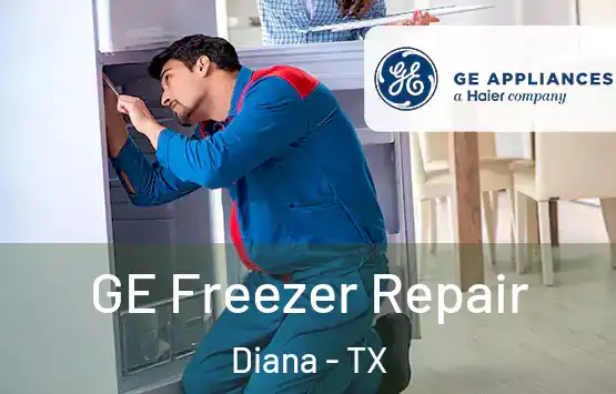  GE Freezer Repair Diana - TX