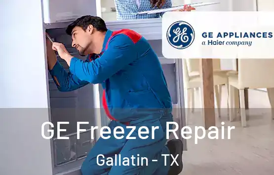  GE Freezer Repair Gallatin - TX