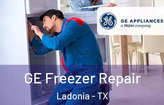  GE Freezer Repair Ladonia - TX