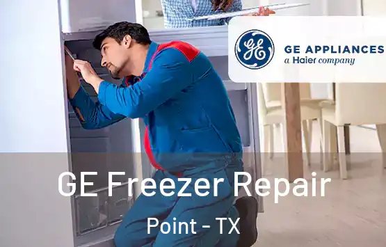  GE Freezer Repair Point - TX
