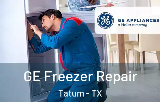 GE Freezer Repair Tatum - TX