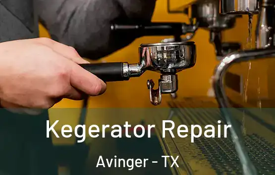  Kegerator Repair Avinger - TX