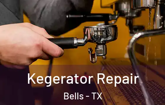  Kegerator Repair Bells - TX