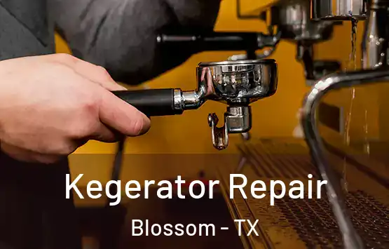  Kegerator Repair Blossom - TX